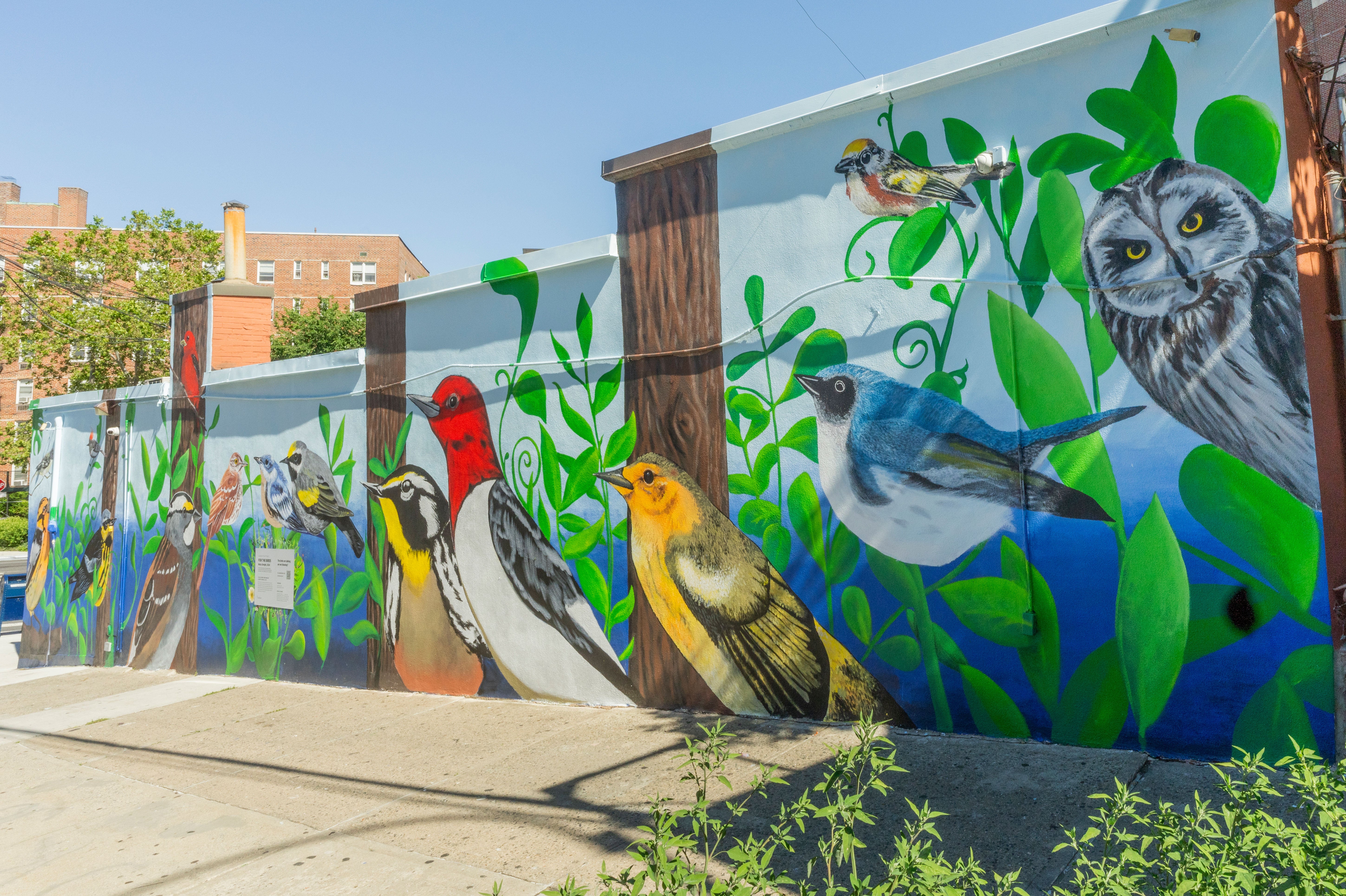 Mural on wall with colorful birds.