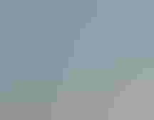 A Canada Goose stands on a beach stretching its wings out, exposing blue sheaths from which feathers will grow.