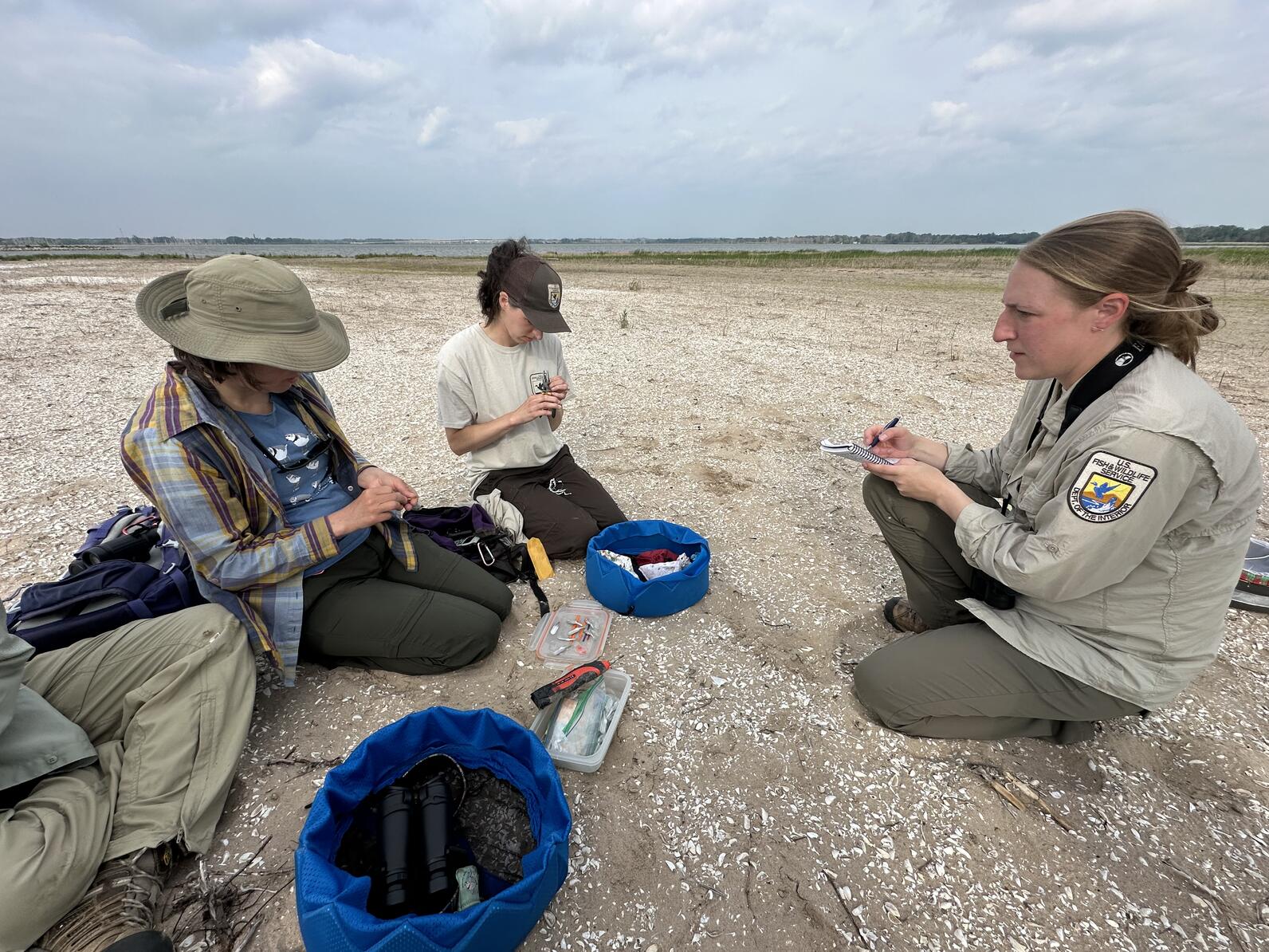 Several people kneeling on a sandy beach taking notes and preparing equipment.
