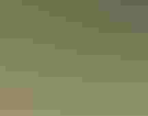 A Killdeer standing in grass with its beak wide open.