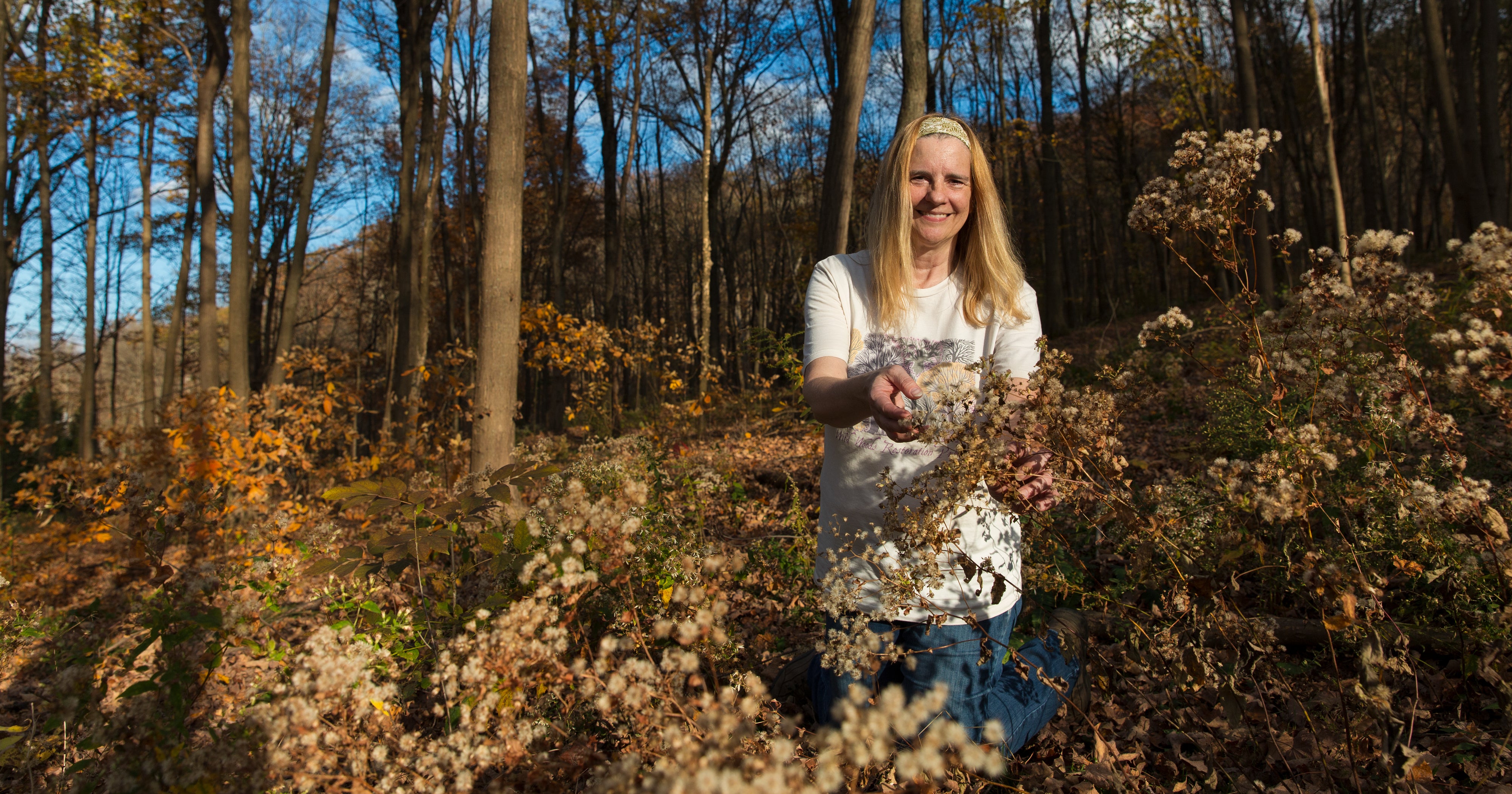 This Hudson Valley Group Puts a Homegrown Spin on Restoring Native ...