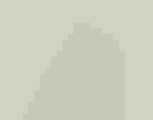 Illustrated cartoon strip of people casting ballots while birding on a boardwalk.