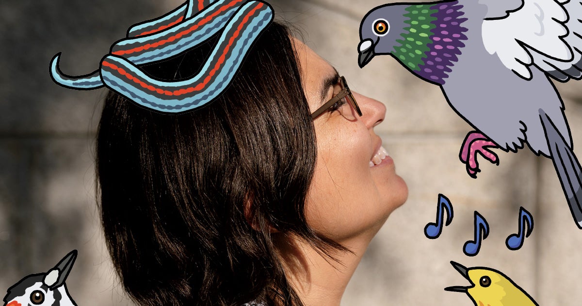 Something Funny Happens When Rosemary Mosco Mixes Art and Science