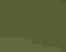 A roseate spoonbill flying in a wetland