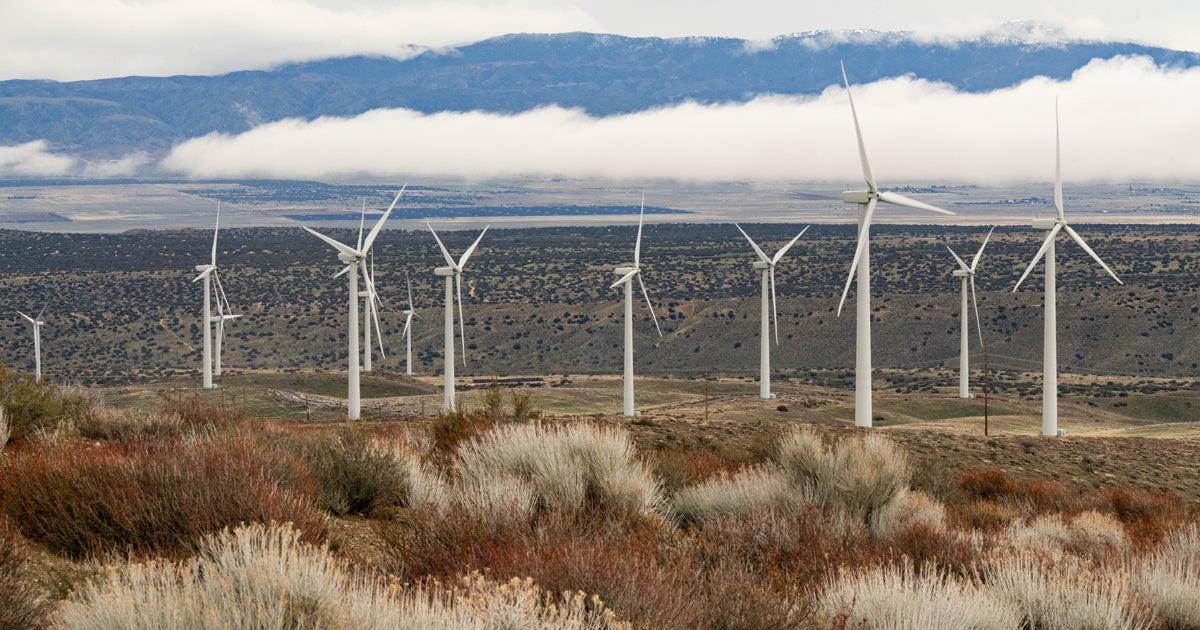 Accelerating Responsible Clean Energy Development Audubon's Efforts in