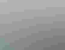 Close up portrait of a crow with its beak wide open.