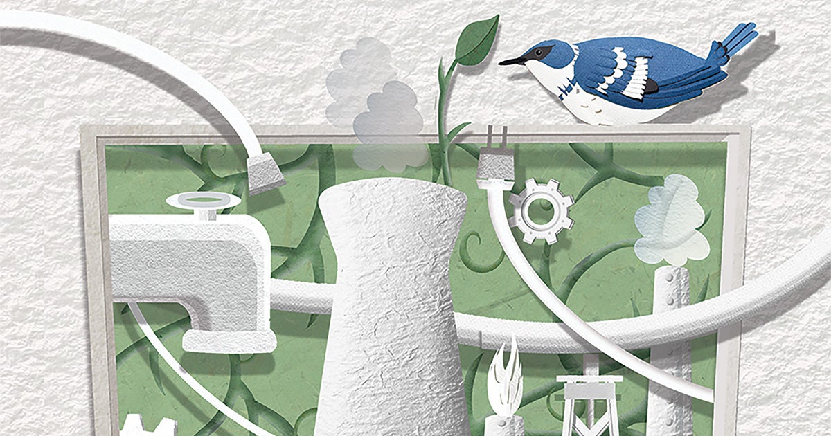 How the AI Boom Threatens to Short-Circuit Climate Action | Audubon