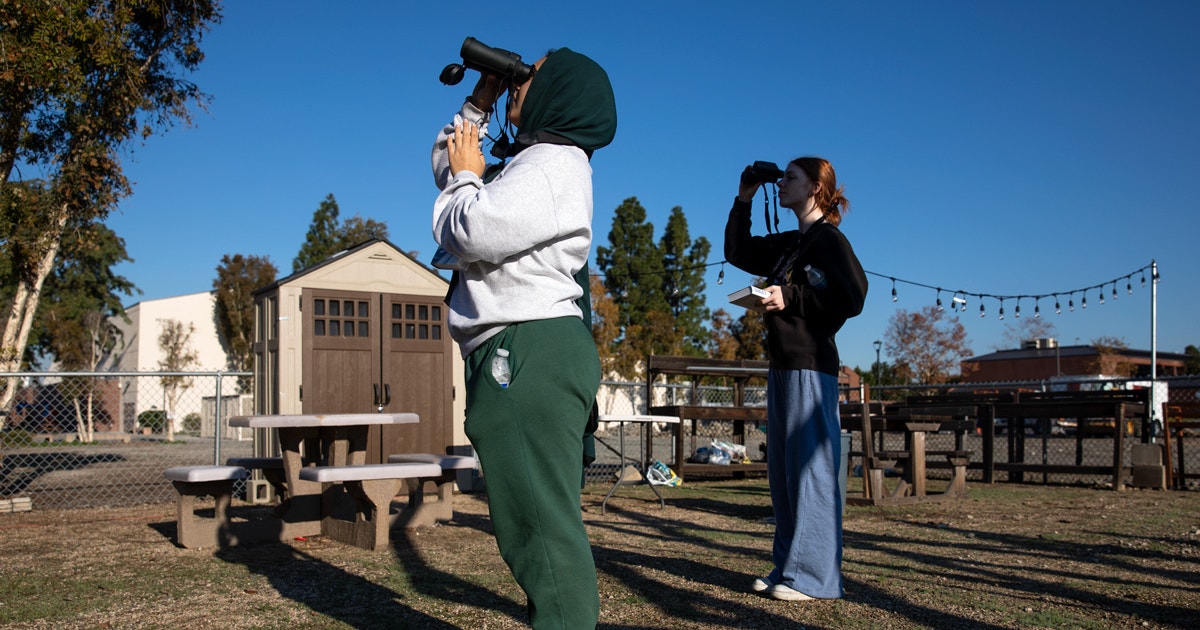 How to Join a Christmas Bird Count How to Join a Christmas Bird Count