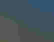 Two college students peer through binoculars toward a tree out of the frame.