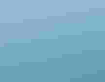 Many sleek black birds swimming off the coast in ocean waves.