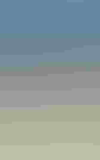 People standing in the waves at the beach