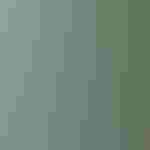 Portrait of Alison Holloran.