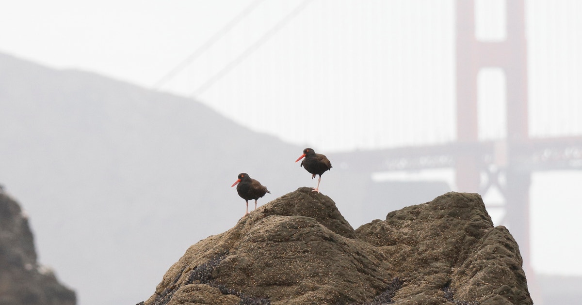 Traversing the State to Unite Our Chapter Flock Traversing the State to Unite Our Chapter Flock