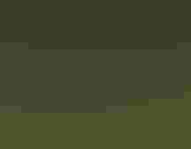 A Green-tailed Towhee sings from a branch.