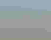 A Mountain Plover in flight.
