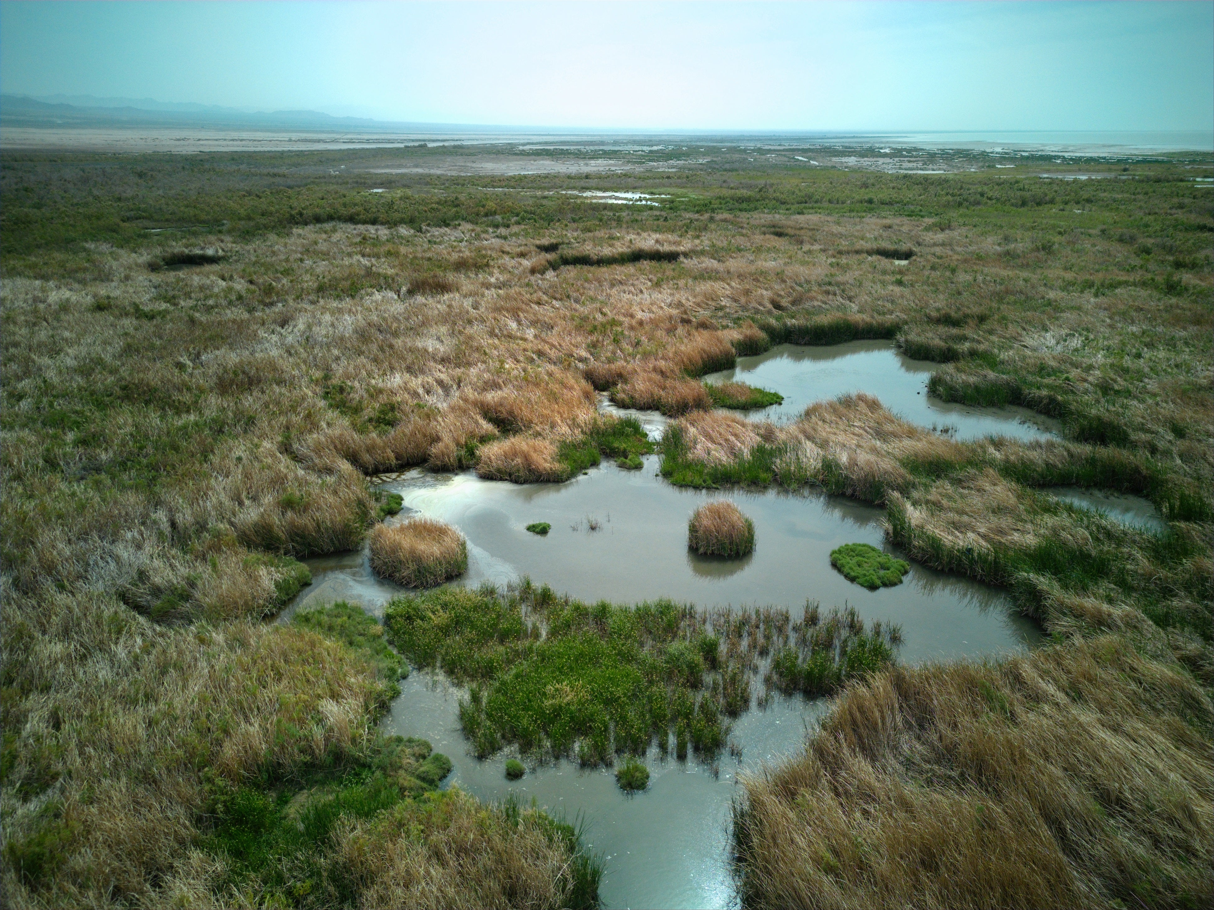 Aerial view of Bombay Beach Wetland showing patches of water surrounded by dense marsh vegetation. The horizon is hazy with distant mountains faintly visible under a pale blue sky.