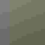 A portrait of Cameron holding an Eastern Screech-Owl on his gloved hand.