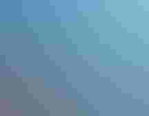 Illustration of corals and fish on the ocean floor and seabirds flying overhead above the water.