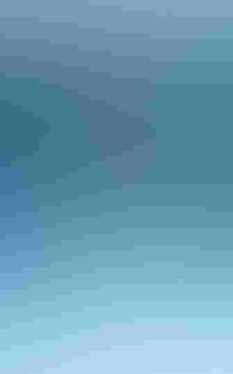 The cover of the report featuring lots of photos of eagles inside the number 30