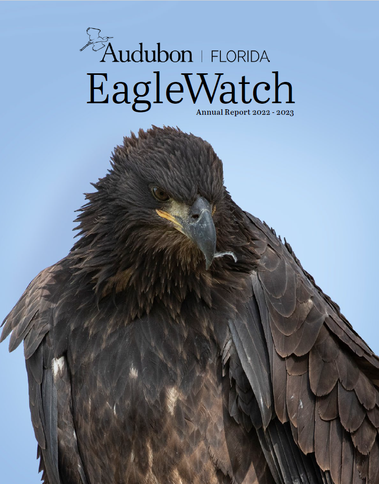 The cover of the 2022-23 EagleWatch annual report featuring a photo of a young Bald Eagle.