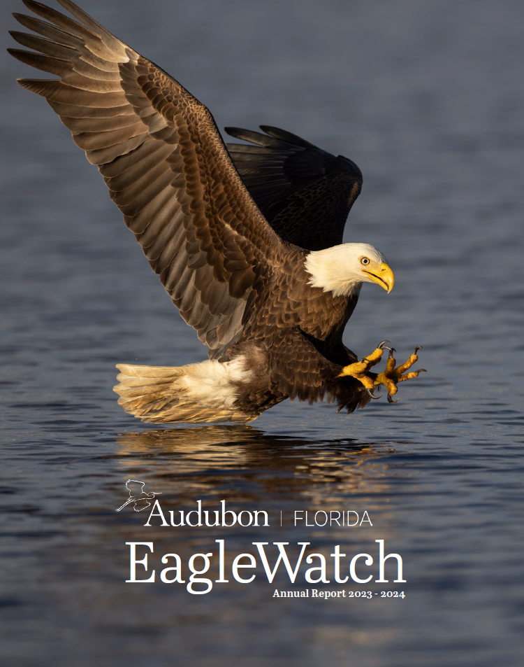 The cover of the report featuring a photo of a Bald Eagle about to snatch prey out of water midflight
