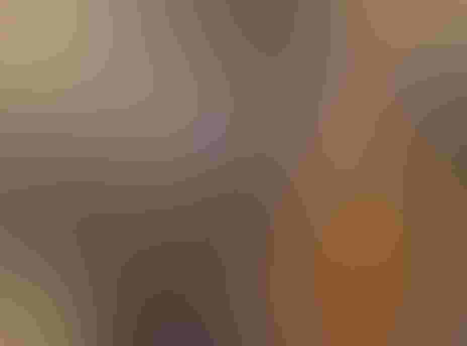 Executive Director Julie Wraithmell speaking at an event. Photo: Renee Wilson/³Ô¹ÏºÚÁÏ Florida person speaking at a podium