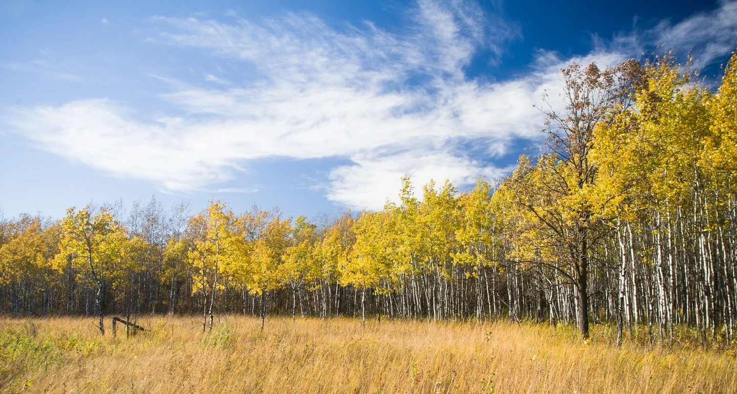 Tallgrass Aspen Parklands