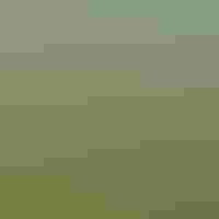 Aerial view of a meadow filled with yellow flowers