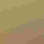 Portrait of Zach Higgins.