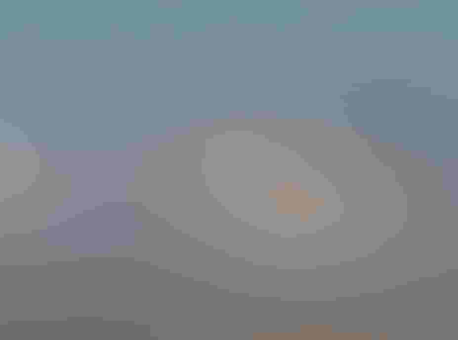 Elegant Tern. Ben Jiang/Audubon Photography Awards.