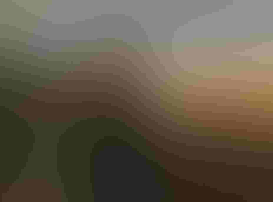 Natalie Shapiro, Buena Vista Audubon Executive Director at Buena Vista Lagoon. Photo: Sydney Walsh/Audubon.