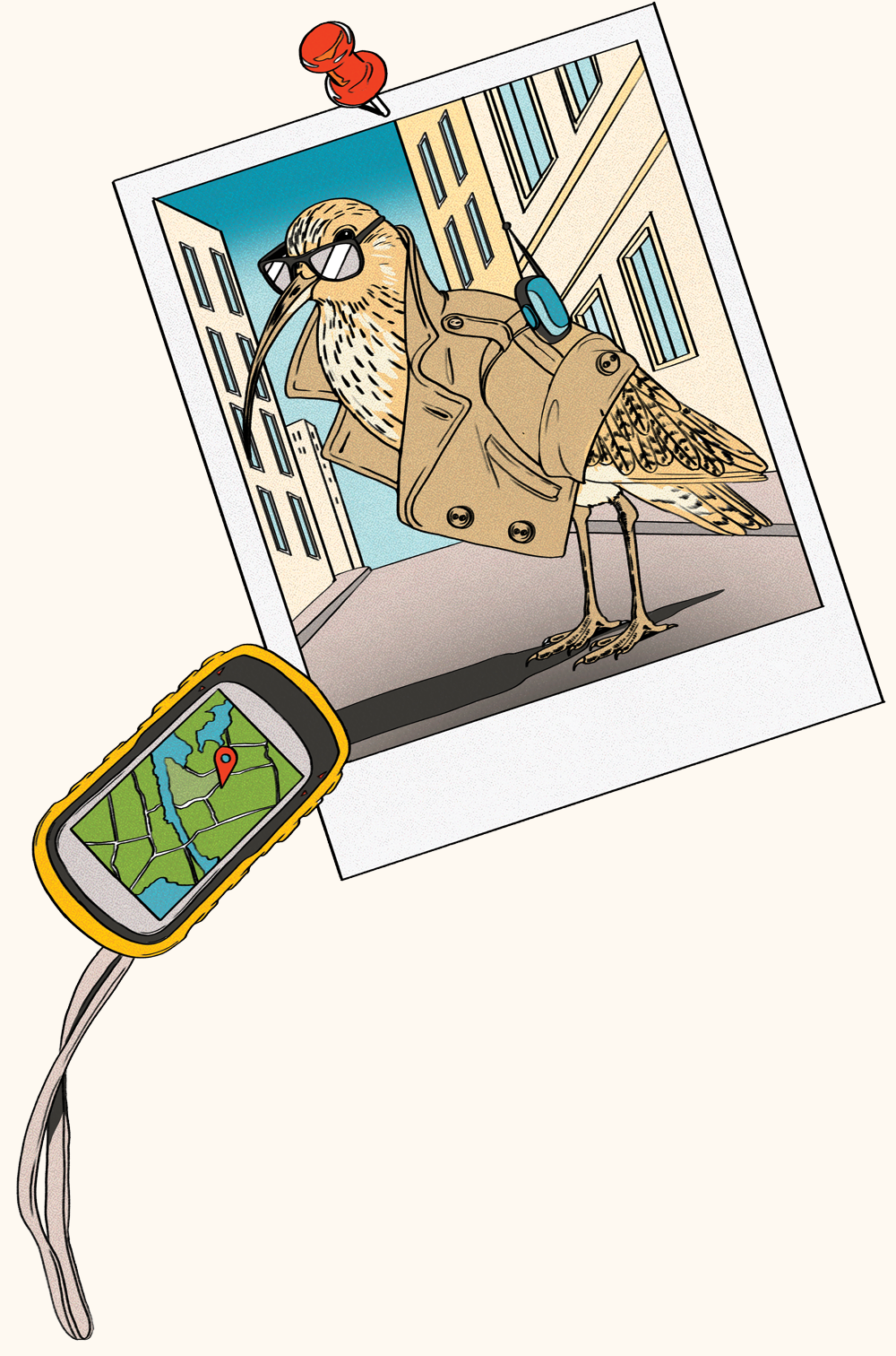 Illustration of a curlew wearing sunglasses and a trench coat with a radio and gps monitor.