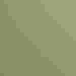 David holds an Osprey.