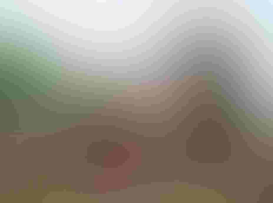 Planting with the OLCC. Photo: Chris Lajewski/Audubon