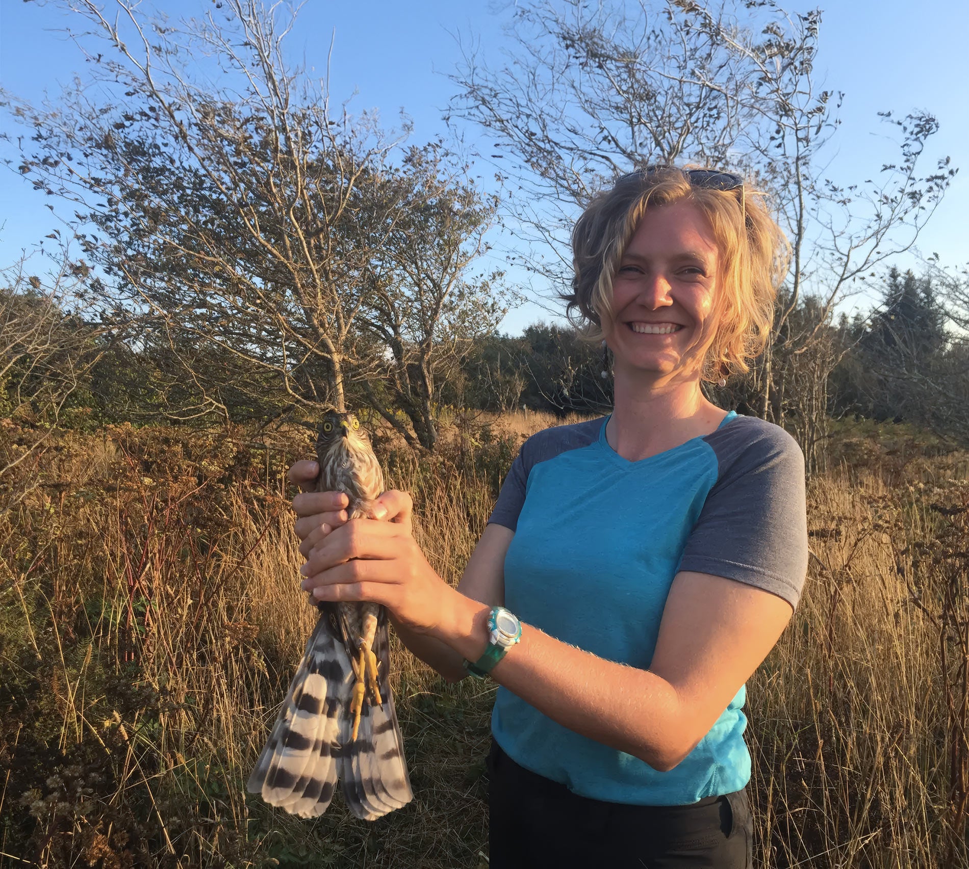 Bethany Sheffer with a Sharp-shinned Hawk.