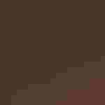 Beth with a Barred Owl.