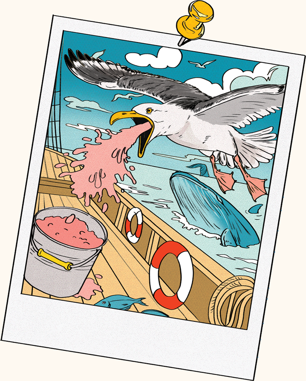 Illustration of a gull projectile-vomiting krill into a bucket on a ship with whales swimming by.