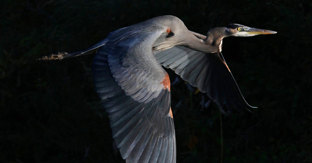 Constitution Marsh Audubon Center