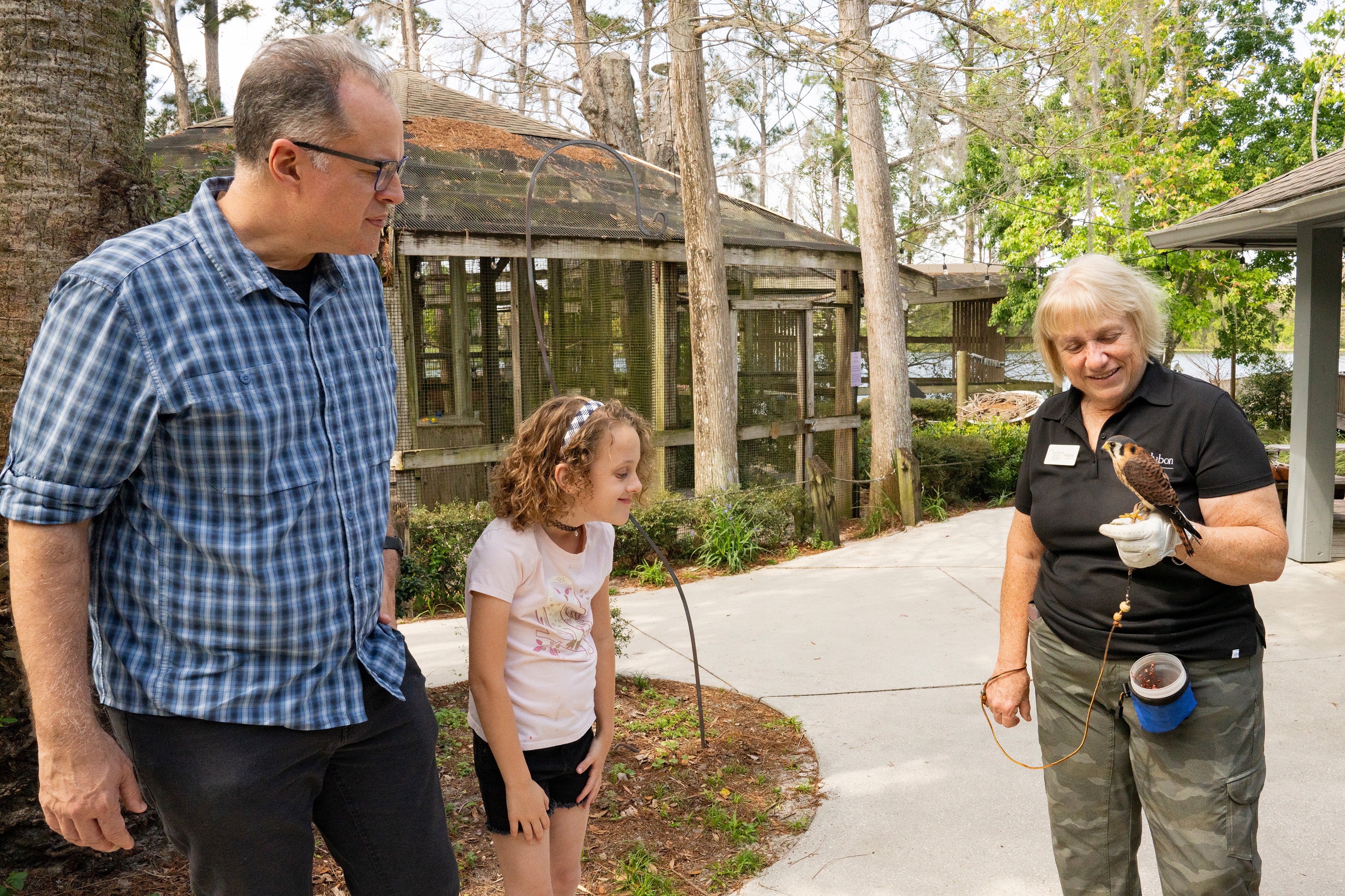 An adult and child looking at a kestrel on a volunteer's glove