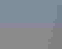 A meadowlark sings, perched on a dried plant in a field.