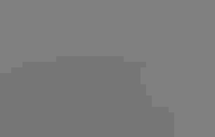 sea and shorebirds stand on the sand