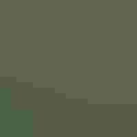 Long, thin blades of aquatic grass emerge from the surface of water.