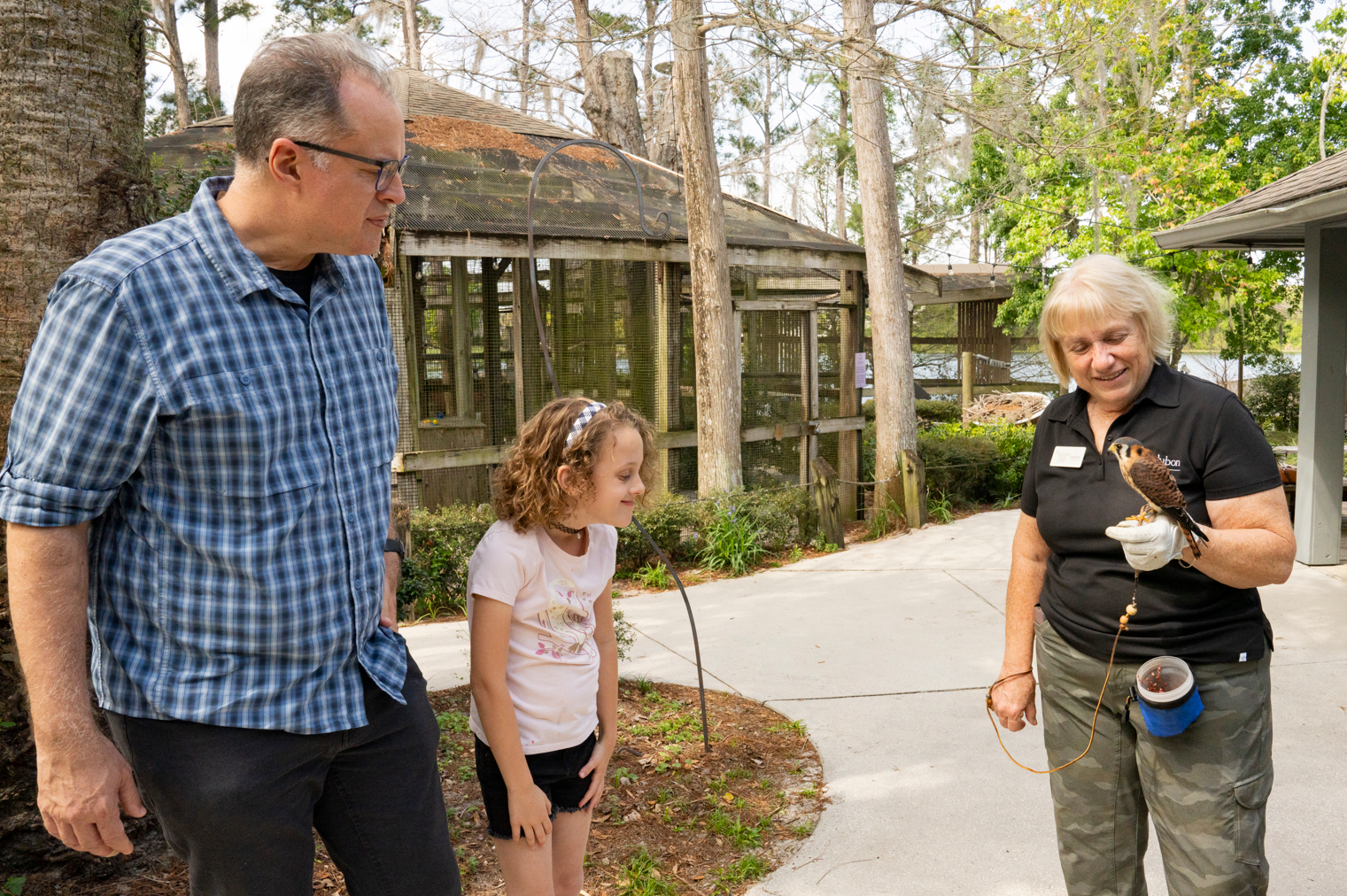 A man and young girl look at an American Kestrel a woman is holding.