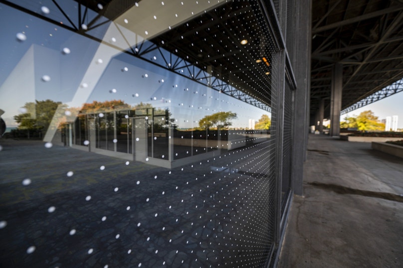 The Bird-Safe Buildings Movement Continues to Grow | Audubon