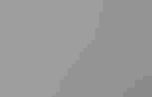 Black Skimmer nesting colony with babies and adults on a beach.