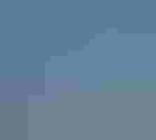 A plain, gray bird perches on a thin, curvy branch.