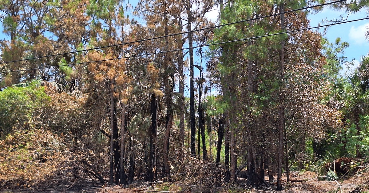 Defending Homes and Property Against Fire and Flood Defending Homes and Property Against Fire and Flood