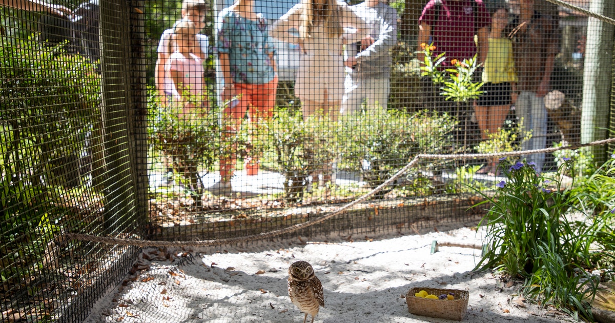 Audubon Center for Birds of Prey photo from the official site