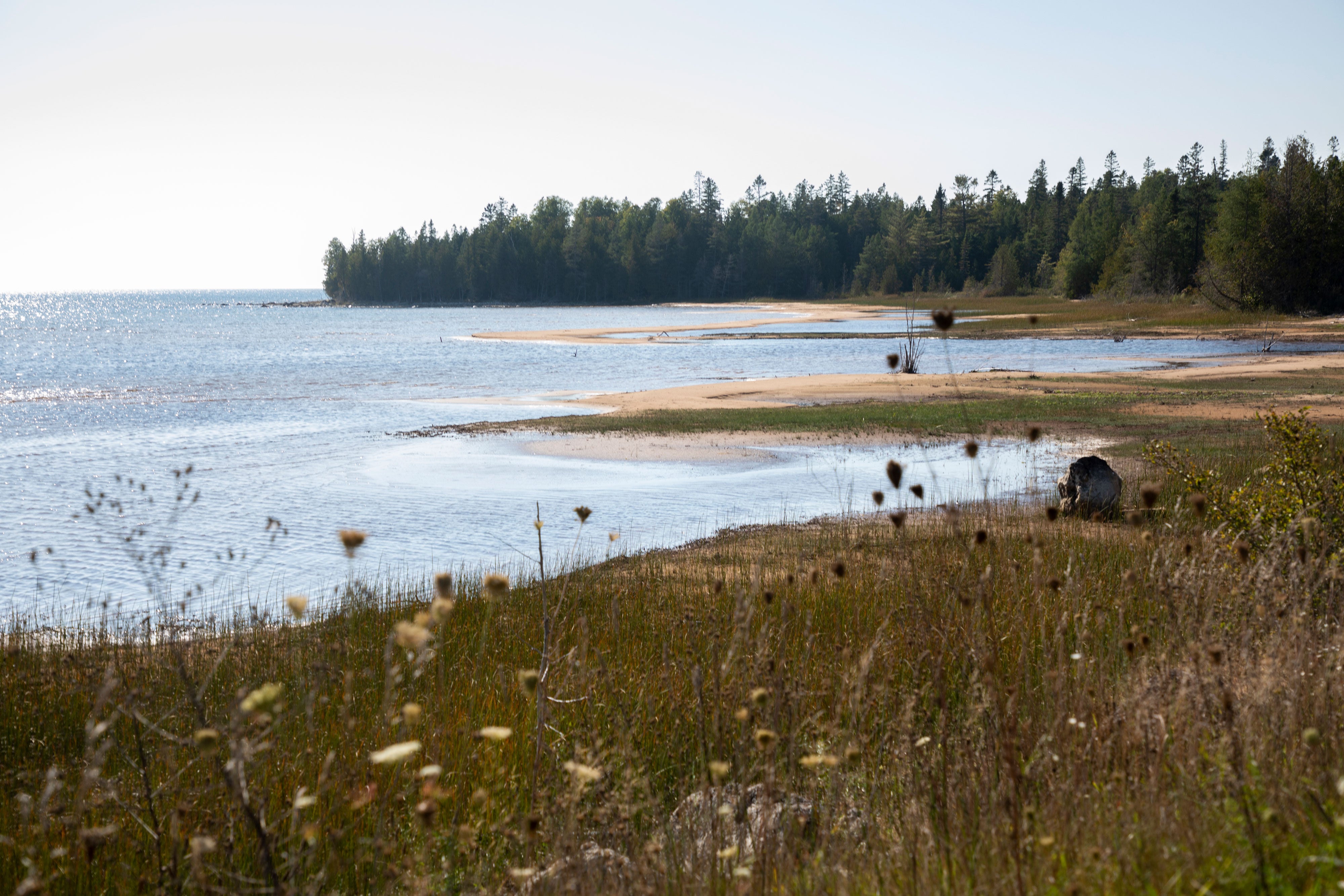 A landscape of prairie, lake, and forest.