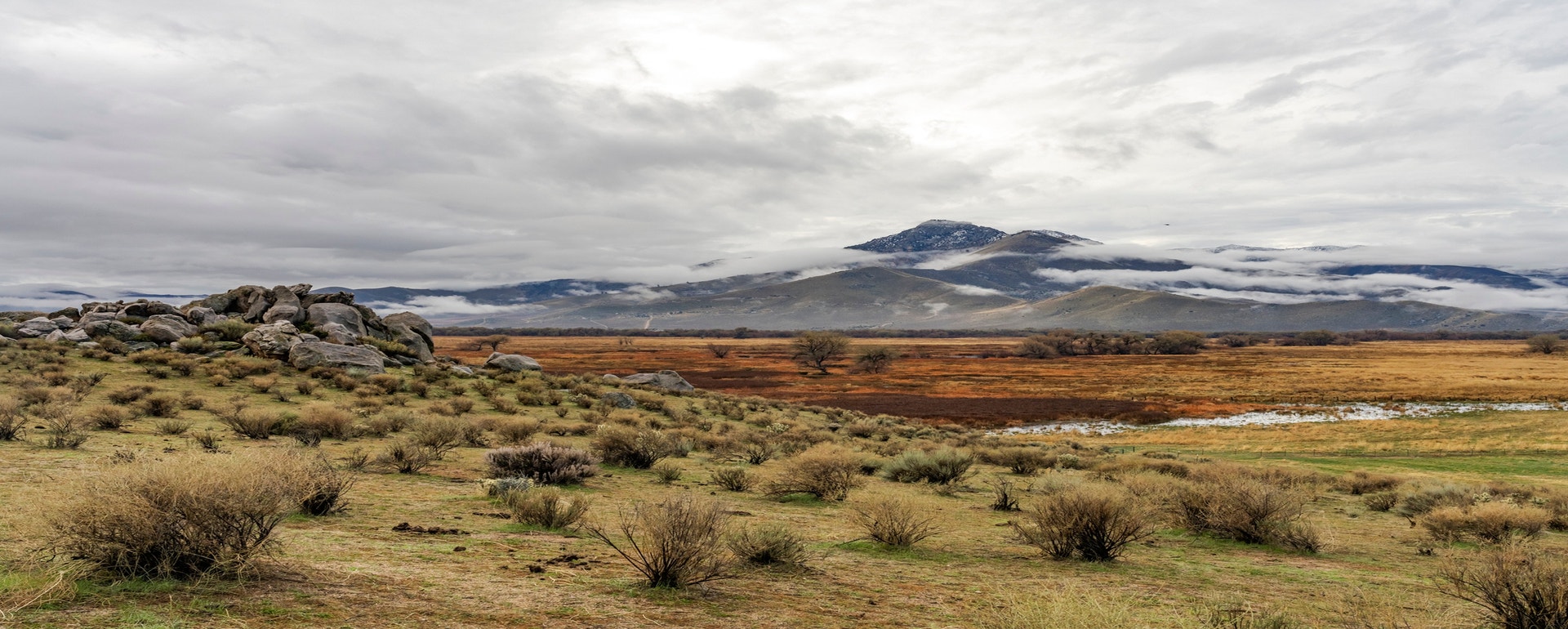 Kern River Preserve. Photo: Sydney Walsh/Audubon